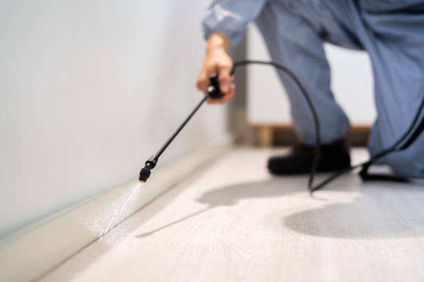 Licensed Pest Control service in Harrisonburg city County, VA - Nex Pest Control