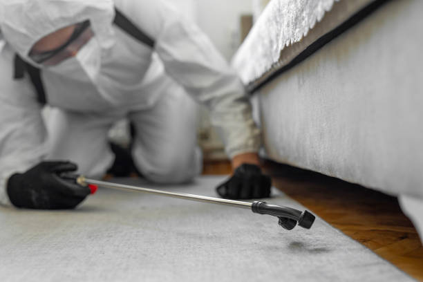 Professional Pest Control technician working in Harrisonburg city County, VA